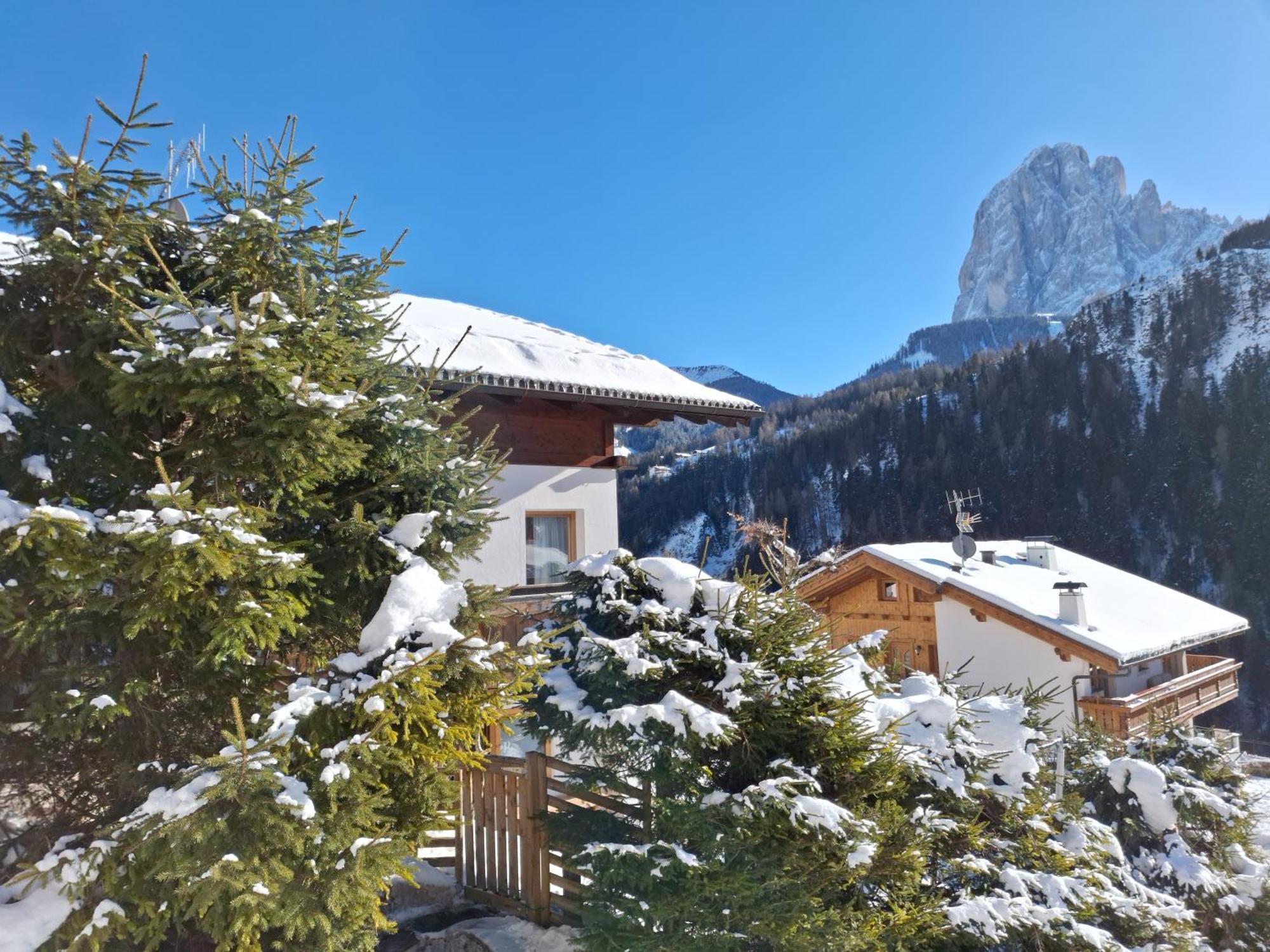 Apartments Insam Santa Cristina Val Gardena Eksteriør bilde